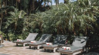 image of 4 pool deck chairs neatly lined-up under green palms with beach towels rolled on each side